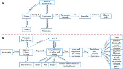 The construction of a TCM knowledge graph and application of potential knowledge discovery in diabetic kidney disease by integrating diagnosis and treatment guidelines and real-world clinical data